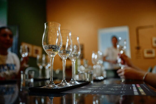 🌵 Cata de mezcales artesanales en Oaxaca